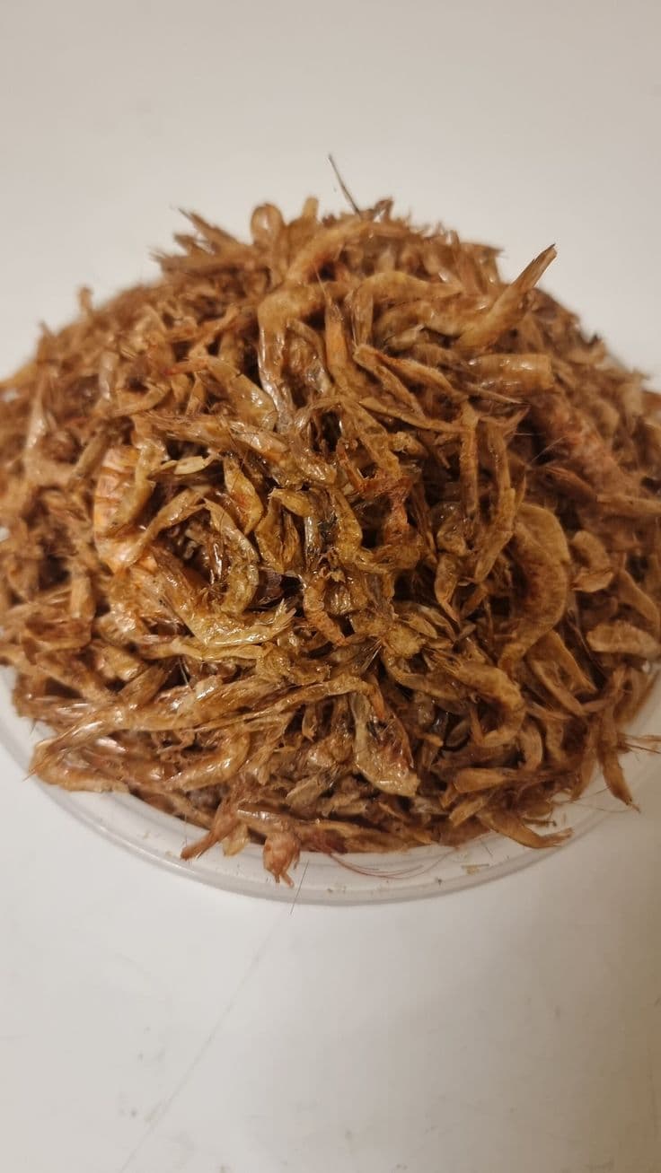 Crayfish