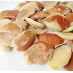 Ogbono